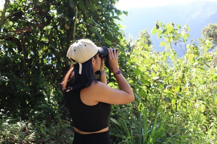 A person taking a photograph with a camera, wearing a helmet and a sleeveless top, surrounded by greenery and trees. 1