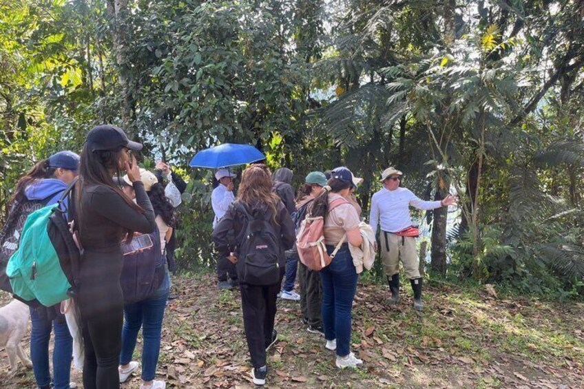 A group of people hiking in a forested area with dense foliage and trees. 4