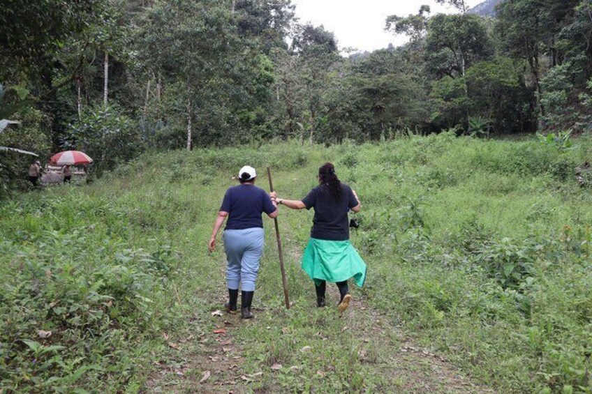 Two people walking on a grassy path surrounded by dense greenery. 2