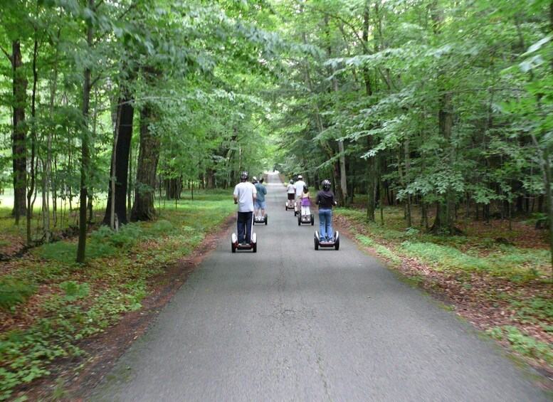 A group of people on segways on a tree-lined road. 3