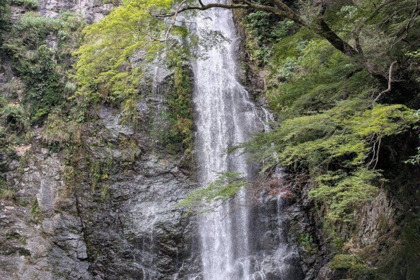 A waterfall cascading down a rocky cliff surrounded by lush greenery. 1