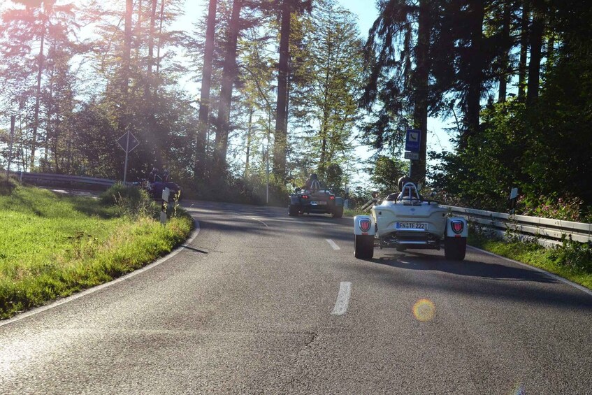 A road with vehicles, surrounded by trees and greenery. 2