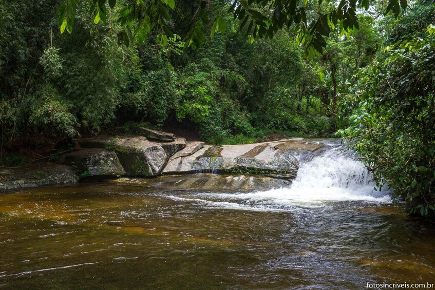 Una cascada se precipita sobre rocas hacia un estanque rodeado de densa vegetación verde. 2