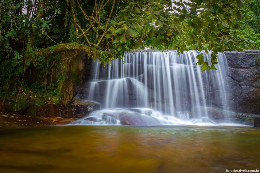 Una cascada que se precipita sobre rocas, rodeada de exuberante vegetación. 5