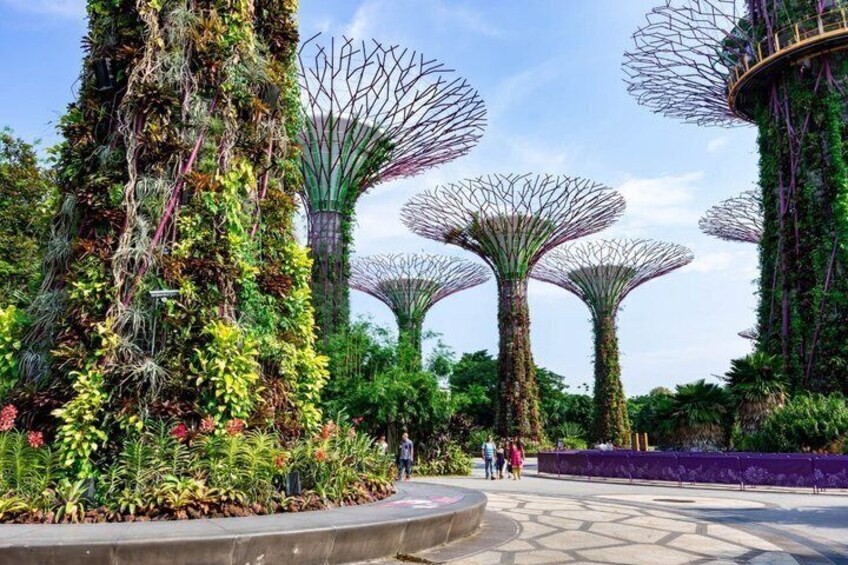A garden with tall trees covered in plants and people walking around. 3