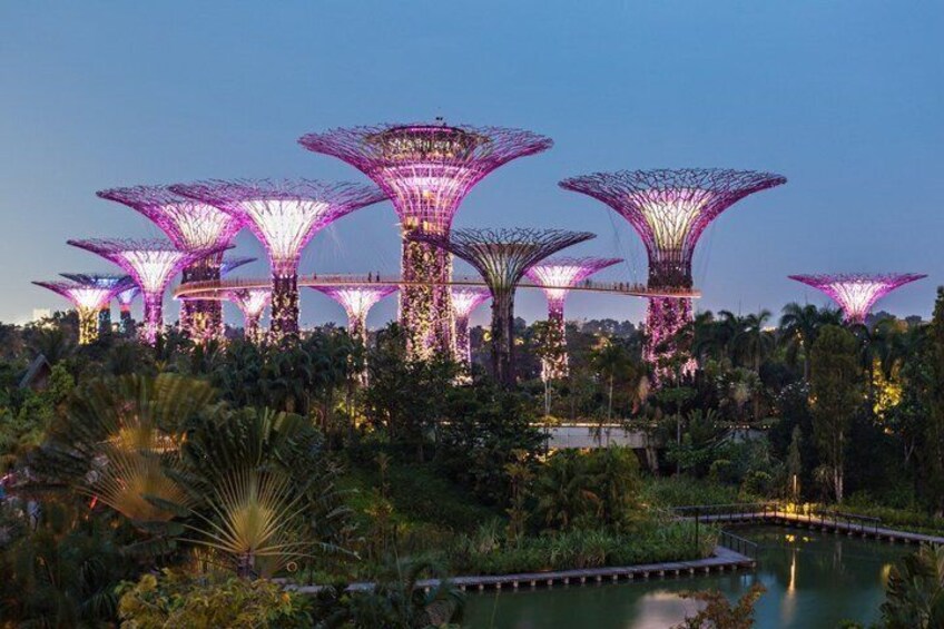 Illuminated structures with a unique design, surrounded by lush greenery and a body of water. 1