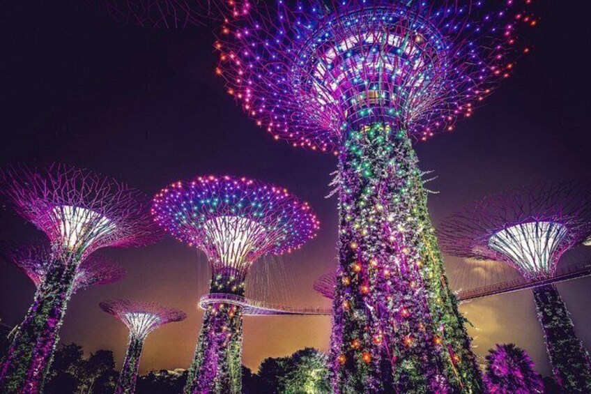 Illuminated structures resembling trees with spherical tops, set against a twilight sky. 2