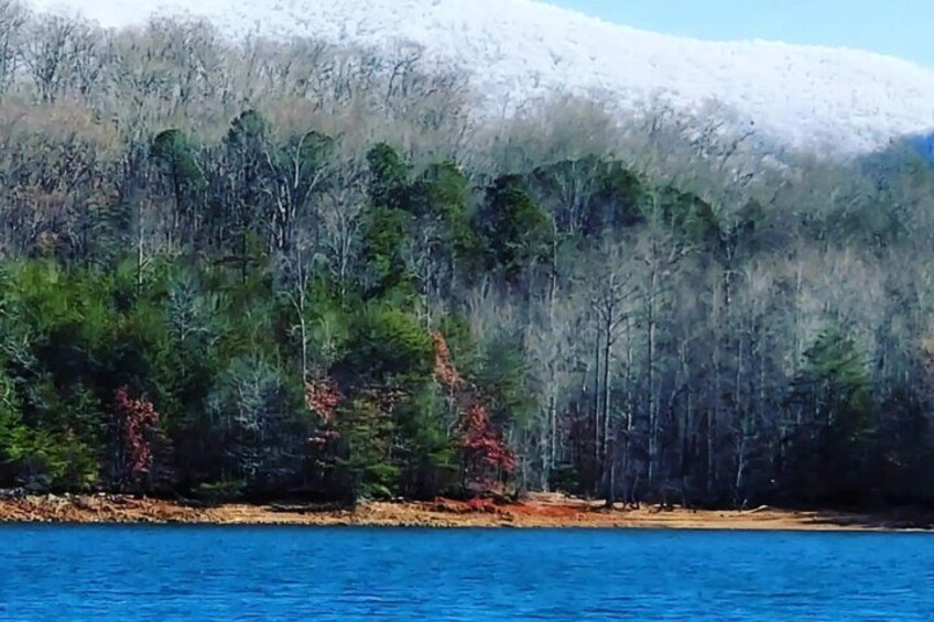 A forested shoreline with a body of water. 4