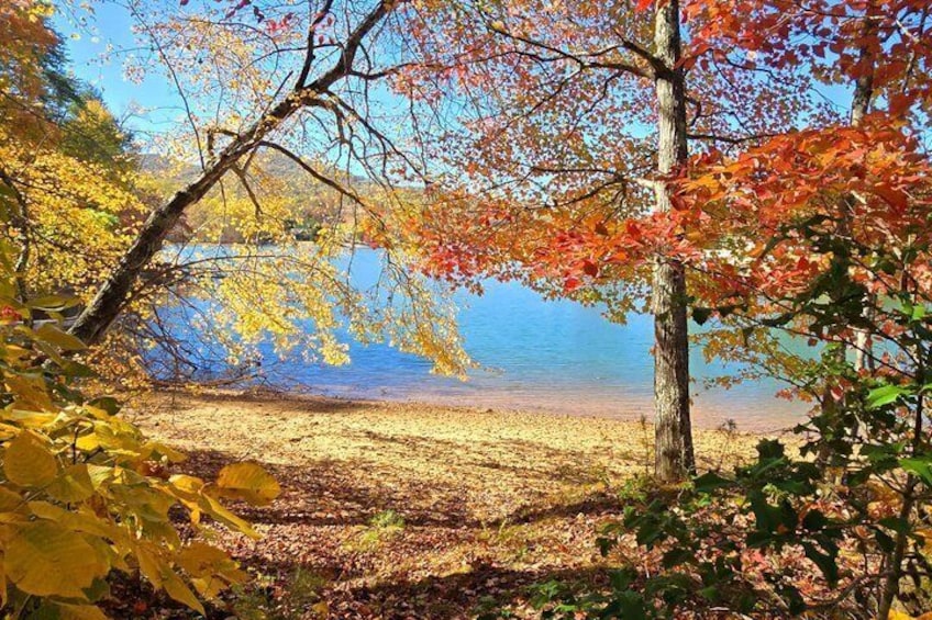 A lake surrounded by autumn-colored trees and a sandy beach. 2