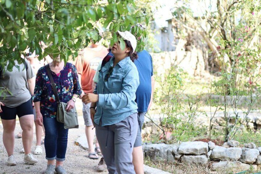 A group of people walking in a garden with stone walls and greenery. 3