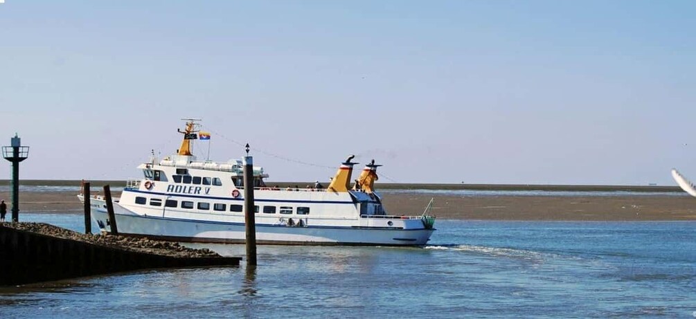 A white boat with 'ROLEX' written on it, docked at a pier with a sandy beach in the background. 3