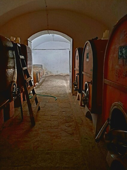 An underground wine cellar with stone walls, wooden barrels, and a green hose on the floor. 4