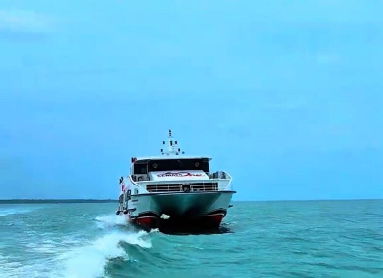 A speedboat moving through a body of water with a clear sky in the background. 3