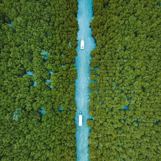A river flanked by dense green forest, with a boat in the center. 1