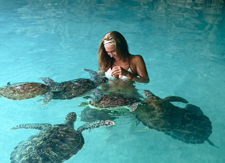 A person in a swimming pool with several sea turtles. 1