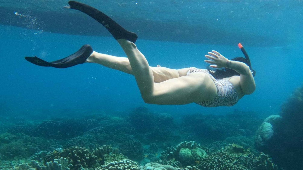 Eine Person taucht mit Flossen und Maske unter Wasser, umgeben von Korallen und Meereslebewesen. 3