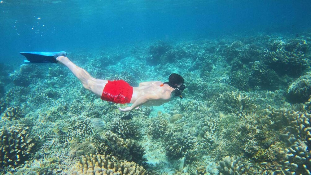Eine Person schnorchelt unter Wasser, im Hintergrund ein Korallenriff. 2