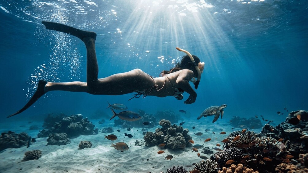 Eine Person taucht unter Wasser, wobei Sonnenlicht durch das Wasser scheint. 1