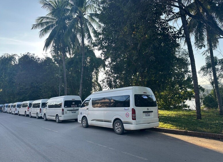 A row of white vans parked along a road with palm trees and greenery in the background. 4