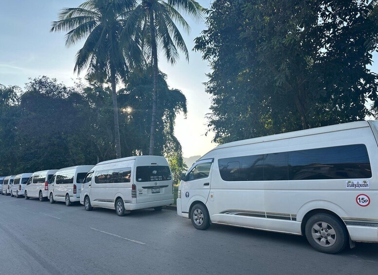 A row of white vans parked on a road with palm trees in the background. 5