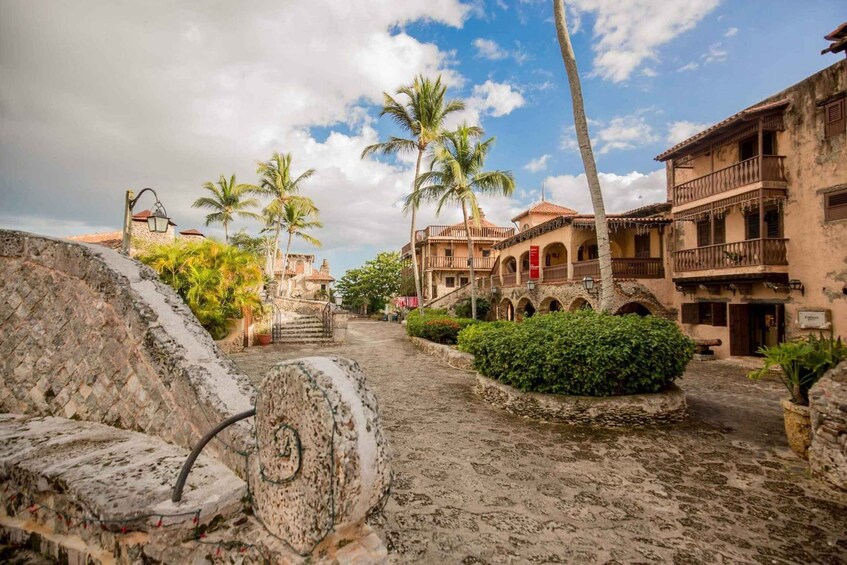 A cobblestone street with palm trees, historic buildings, and a stone wall. 5