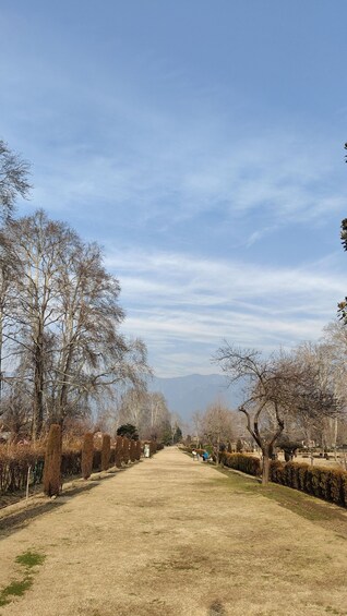 Picture 20 for Activity Srinagar: Old City and Mughal Gardens Guided Tour 5
