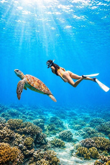A diver swimming with a sea turtle in clear blue water. 3