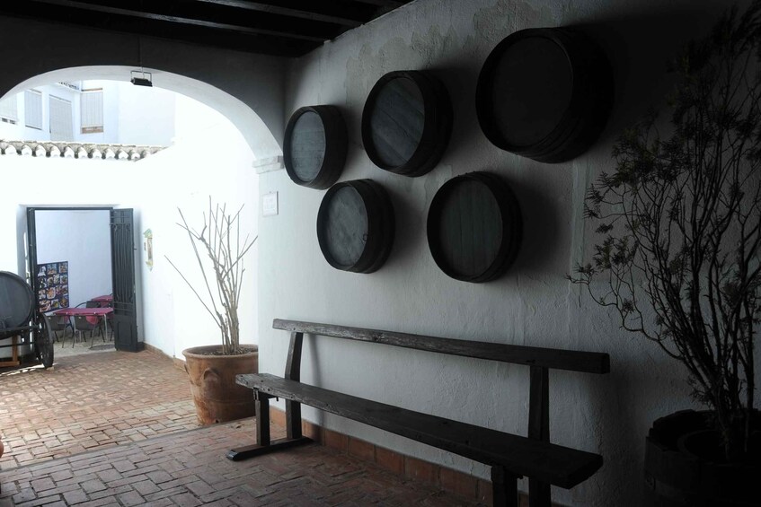 A rustic interior with wooden barrels mounted on a wall, a bench, and a potted plant. 2