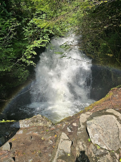 A waterfall cascading over rocks surrounded by dense green foliage. 5