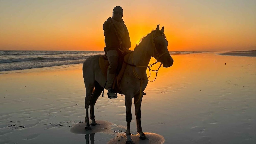 A person riding a horse on a beach at sunset. 1