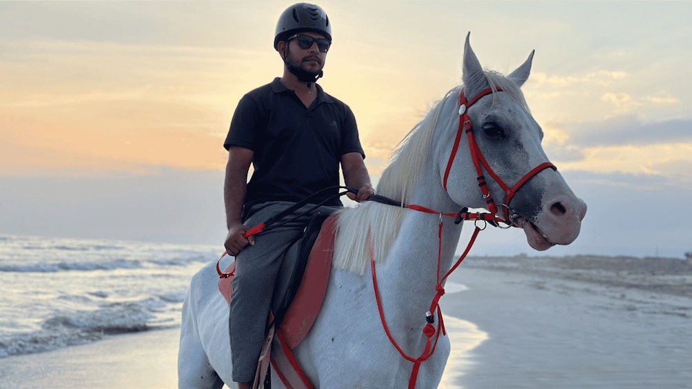 A person riding a white horse with red tack on a beach at sunset. 2