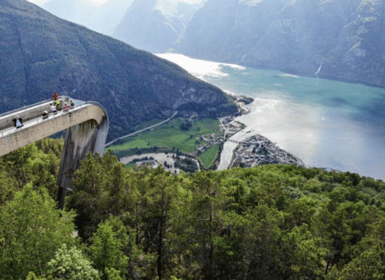 A suspension bridge over a valley with a river and mountains in the background. 1