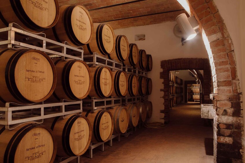A wine cellar with wooden barrels stacked in rows. 2