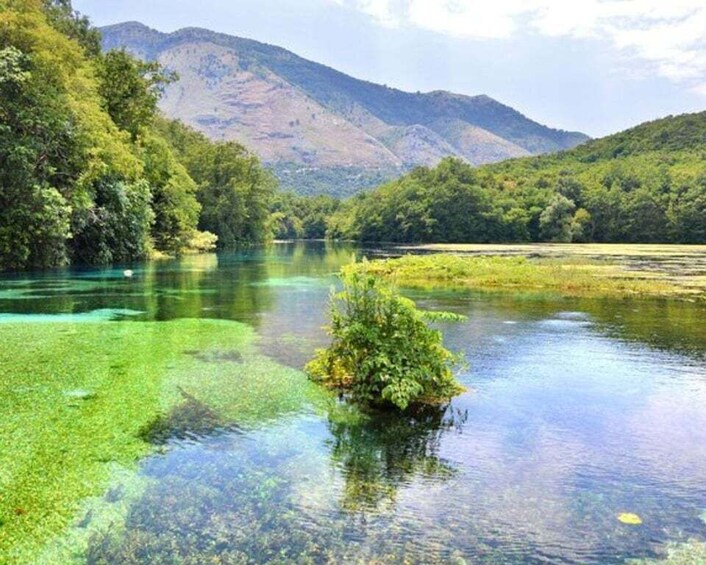 A river with clear water, surrounded by lush greenery and hills in the background. 3