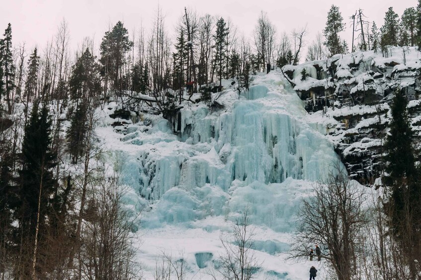 A frozen waterfall surrounded by a forest. 1