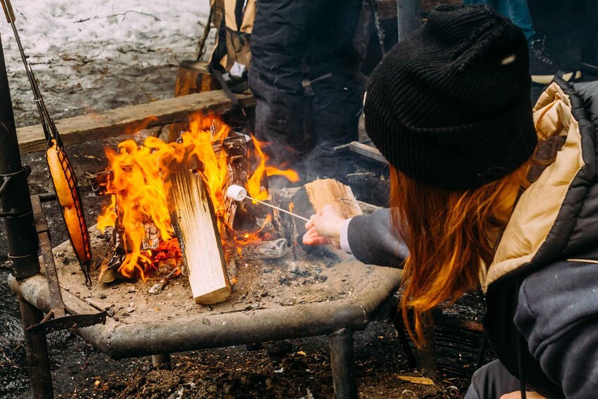 A person roasting marshmallows over an open fire. 5