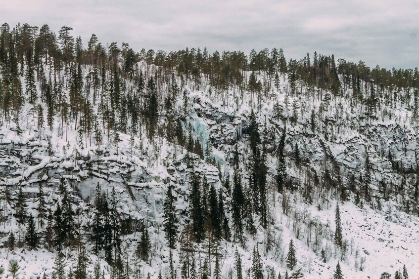 A snow-covered forest with a waterfall. 2