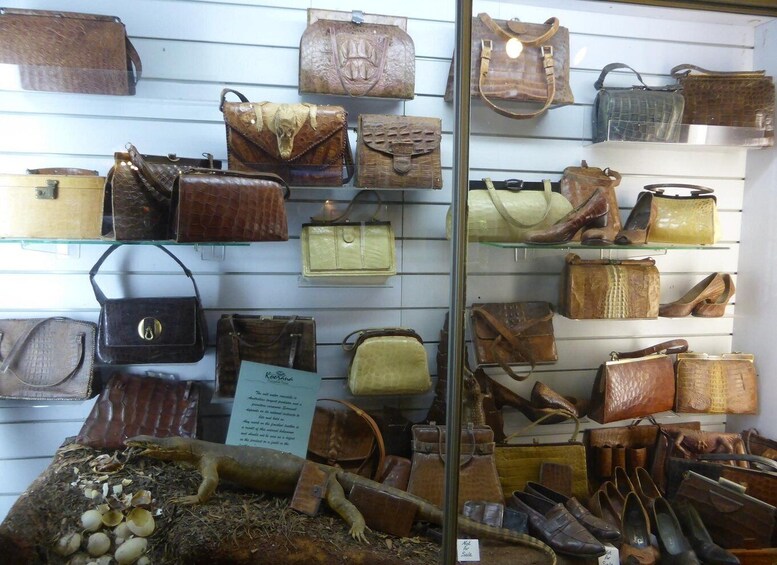 A variety of handbags displayed on shelves. 4