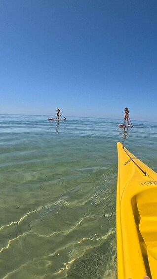 Two people paddleboarding on calm waters with a clear sky. 3