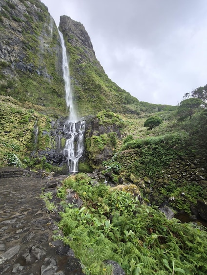 A waterfall cascading down a steep cliff surrounded by lush greenery. 3