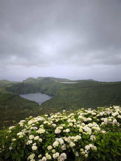 A landscape with a lake surrounded by green hills and white flowers in the foreground. 4