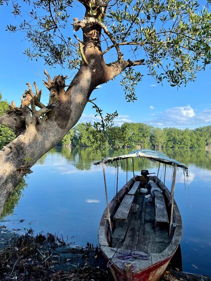 A wooden boat docked at a calm lake with a large tree overhanging the water. 1