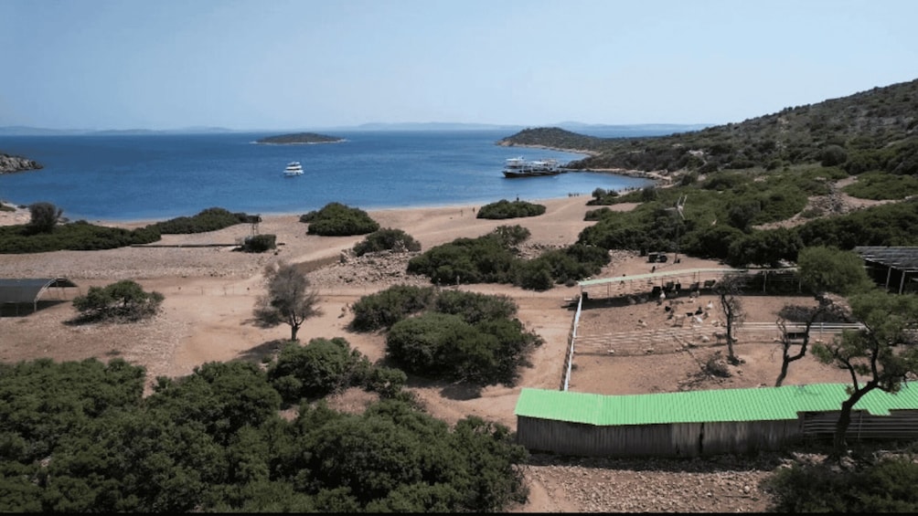A coastal landscape with a sandy beach, green vegetation, and a few boats on the water. 2