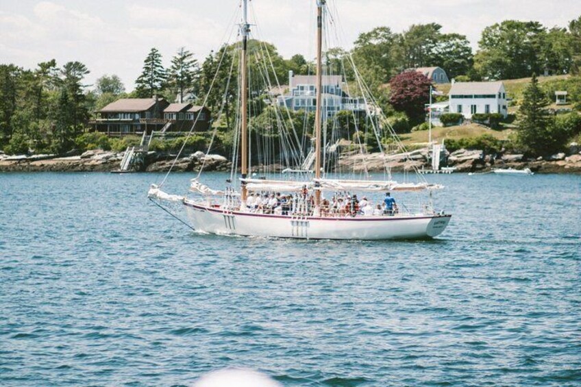 A sailboat on calm water with houses and trees in the background. 5