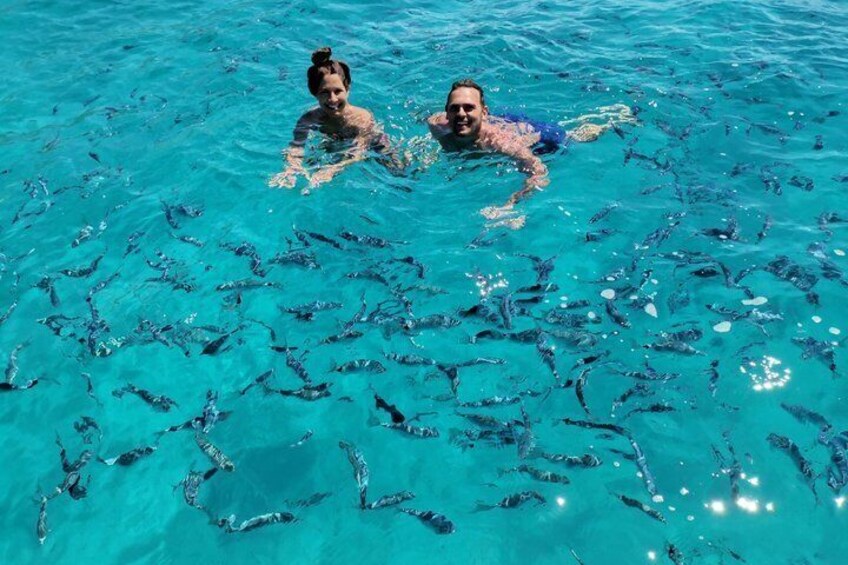 Two people swimming in clear blue water with numerous fish visible. 1