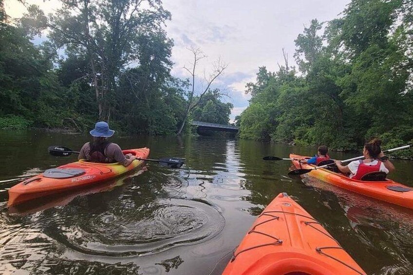 Three people kayaking on a calm river surrounded by dense greenery. 2