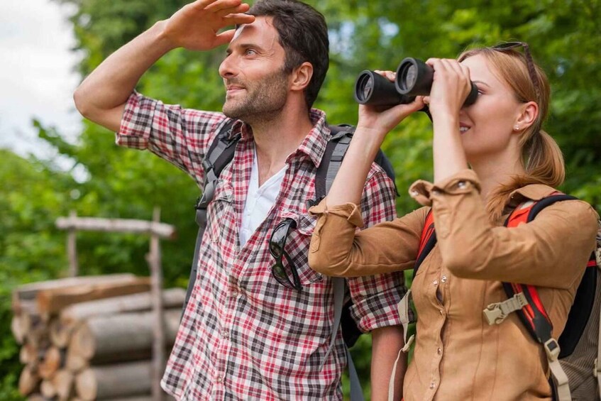 Two people using binoculars, likely observing wildlife or scenery in a forested area. 1