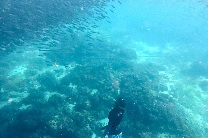 An underwater scene with a diver, clear water, and visible marine life. 3