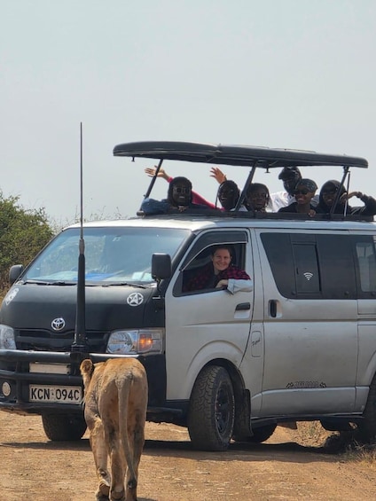 A vehicle with passengers and a lion nearby. 5