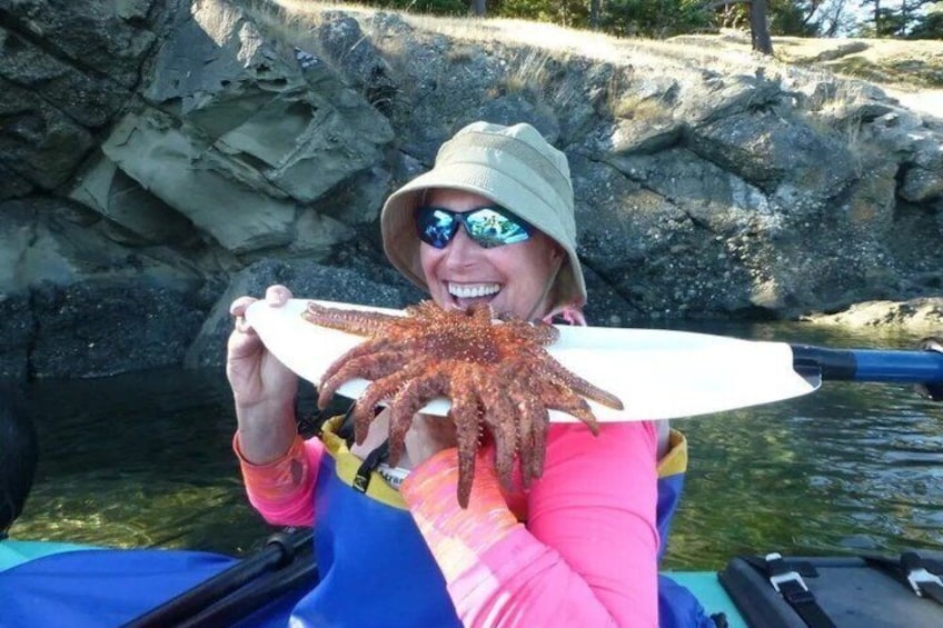 A person holding a large crab on a paddleboard. 3